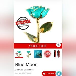 BNIB SOLD OUT WAIT LISTED I Hate Steven Singer 24k Gold Dipped Blue Moon Rose